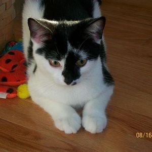 Meet your Posher, Joann